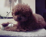 200901300055001.jpg