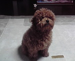 200901300059002.jpg