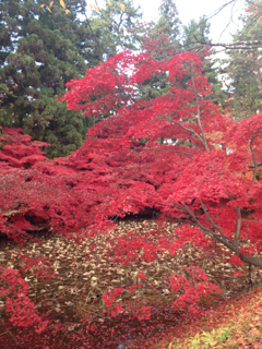 image-20121119190634.png